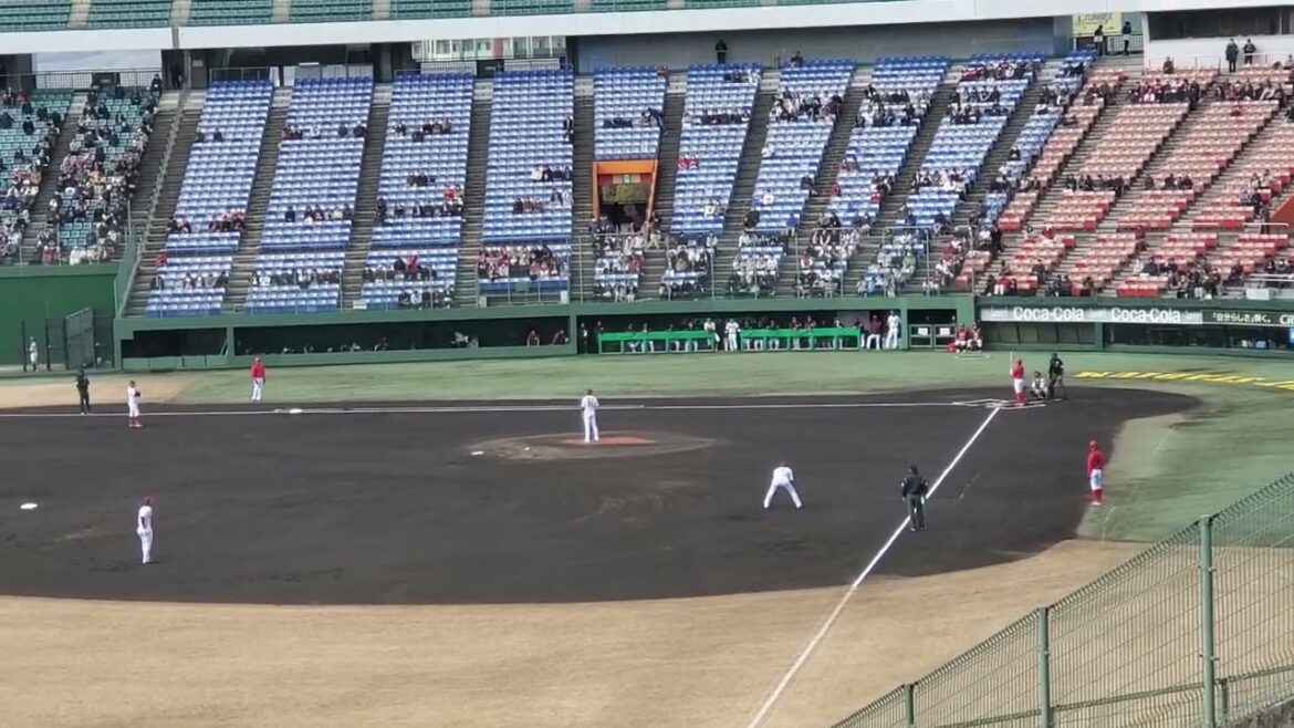 20240301　初回から【菊池涼介 応援歌】　1回表　広島東洋ｶｰﾌﾟ@倉敷ﾏｽｶｯﾄｽﾀｼﾞｱﾑ･外野ﾚﾌﾄ ｵｰﾌﾟﾝ戦