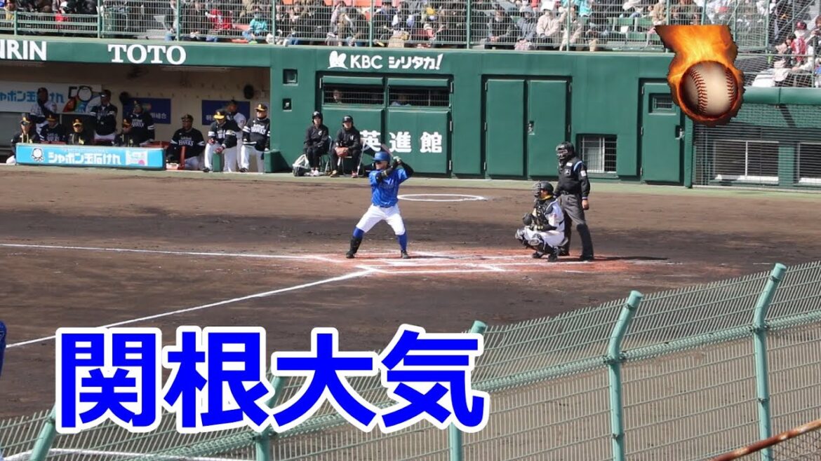 DeNA・関根大気選手の全打席！！VSソフトバンク！！2024プロ野球オープン戦！！