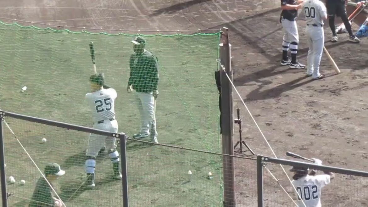 岡本和真 ウィーラーとボールの位置について何かを喋ってる〜読売ジャイアンツ沖縄キャンプ2024年2月21日