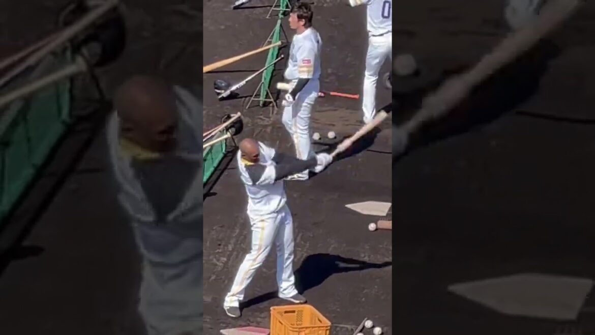 グラシアル選手のティー#野球 #野球選手 #baseball #enjoy #プロ野球 #高校野球 #草野球 #スポーツ #福岡ソフトバンクホークス #練習 #softbank #プロスピa