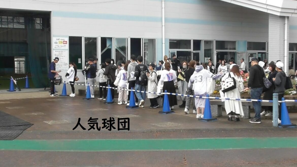 即席サイン会　＃オリックスバファローズ　＃宮崎キャンプ　＃廣岡大志　　＃平野佳寿　＃安達了一　＃杉本裕太郎  ＃マーウィンゴンザレス