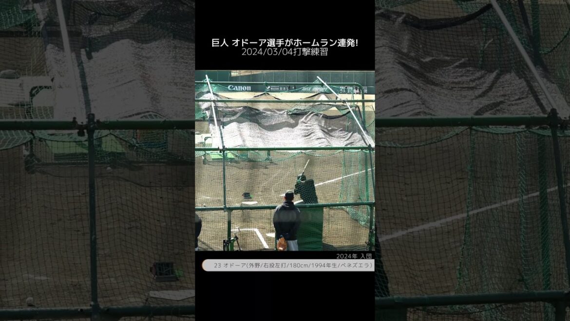 【巨人】オドーア選手がホームラン連発 #オドーア #shorts #baseball #プロ野球 #巨人 【巨人】オドーア選手がホームラン連発 #オドーア #shorts #baseball #プロ野球 #巨人