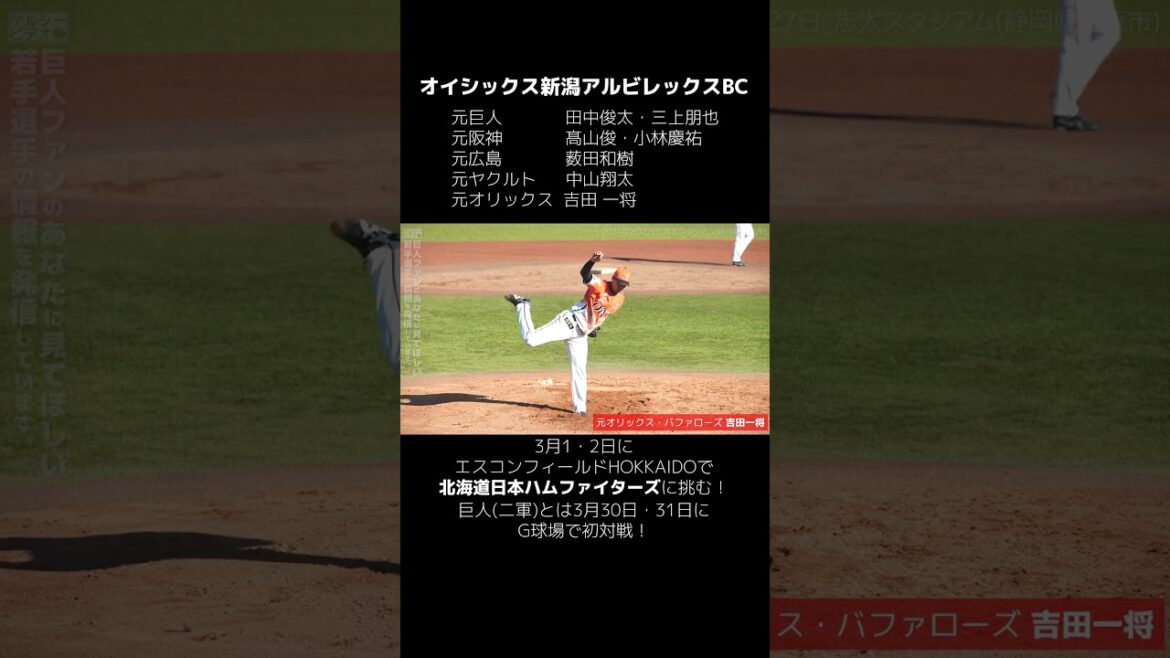元巨人の田中俊太&三上朋也、元阪神の髙山俊、元広島の薮田和樹も参戦!オイシックス新潟アルビレックスBCが北海道日本ハムファイターズに挑む! #shorts #baseball #プロ野球 元巨人の田中俊太&三上朋也、元阪神の髙山俊、元広島の薮田和樹も参戦!オイシックス新潟アルビレックスBCが北海道日本ハムファイターズに挑む! #shorts #baseball #プロ野球