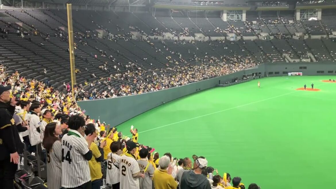 2024/3/3 阪神　1-9 応援歌