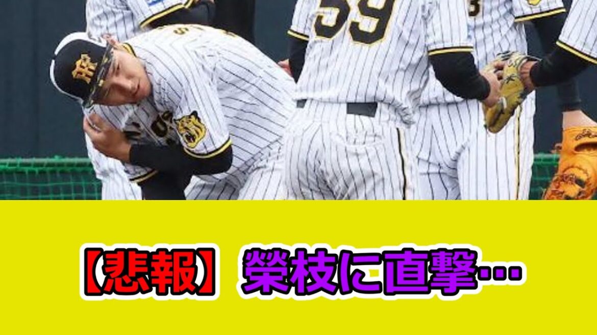 阪神・榮枝裕貴、走塁練習中に打球が首に直撃のアクシデント