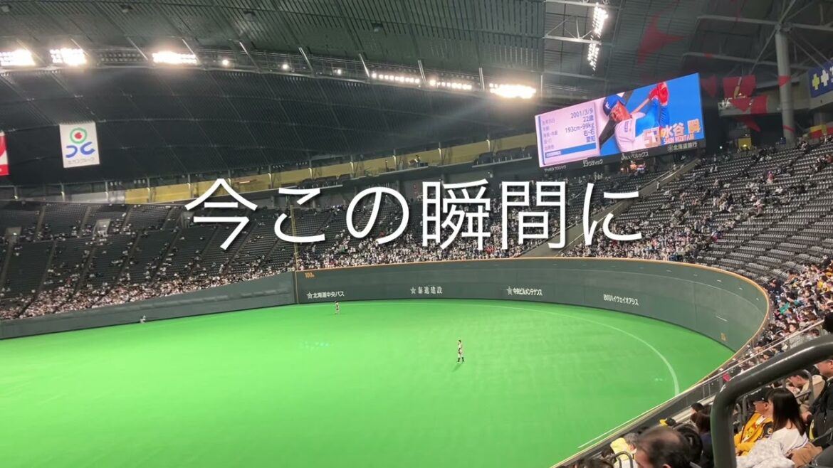 【流用シリーズ】2024/3/2 日本ハム　糸井嘉男　応援歌
