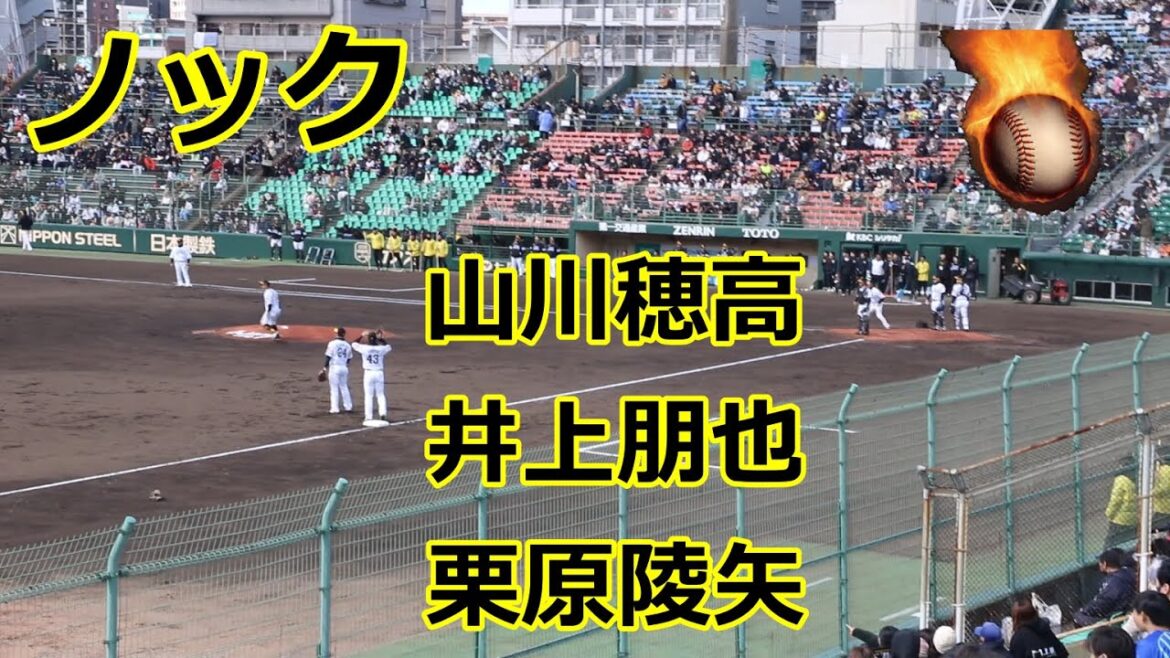 ソフトバンク・山川穂高、栗原陵矢、井上朋也3選手のノックをチェックしてみた！！VS DeNA！！2024プロ野球オープン戦！！