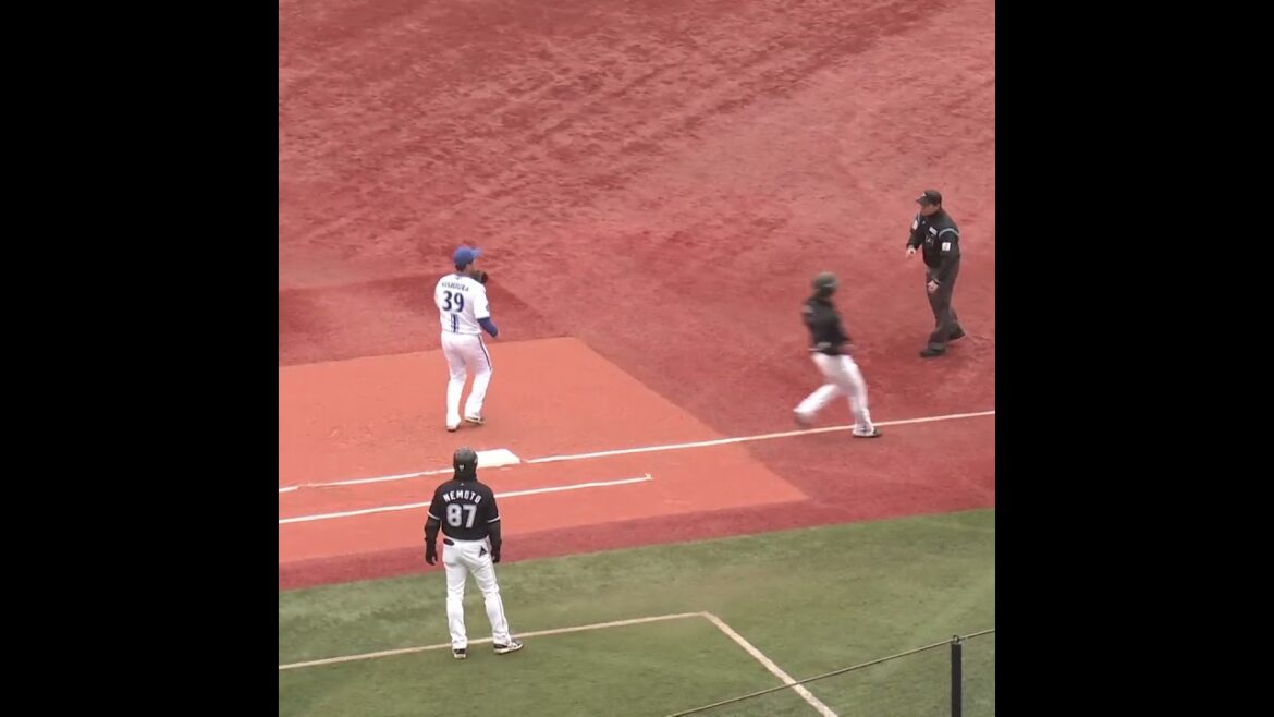 これぞゴールデングラブ賞の好守備🐻🍯