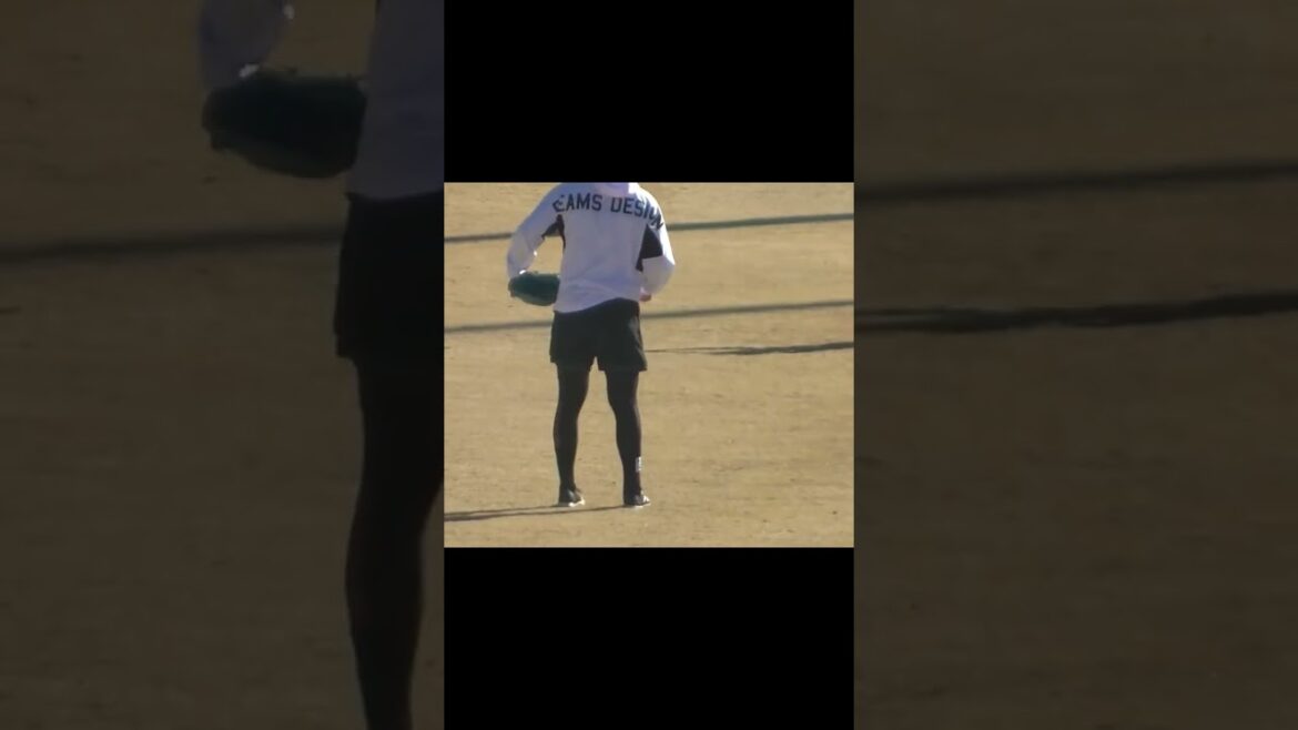 昨年ロッテから移籍 小沼健太のキャッチボール〜ジャイアンツ球場 読売ジャイアンツ選手自主トレ2024年1月16日