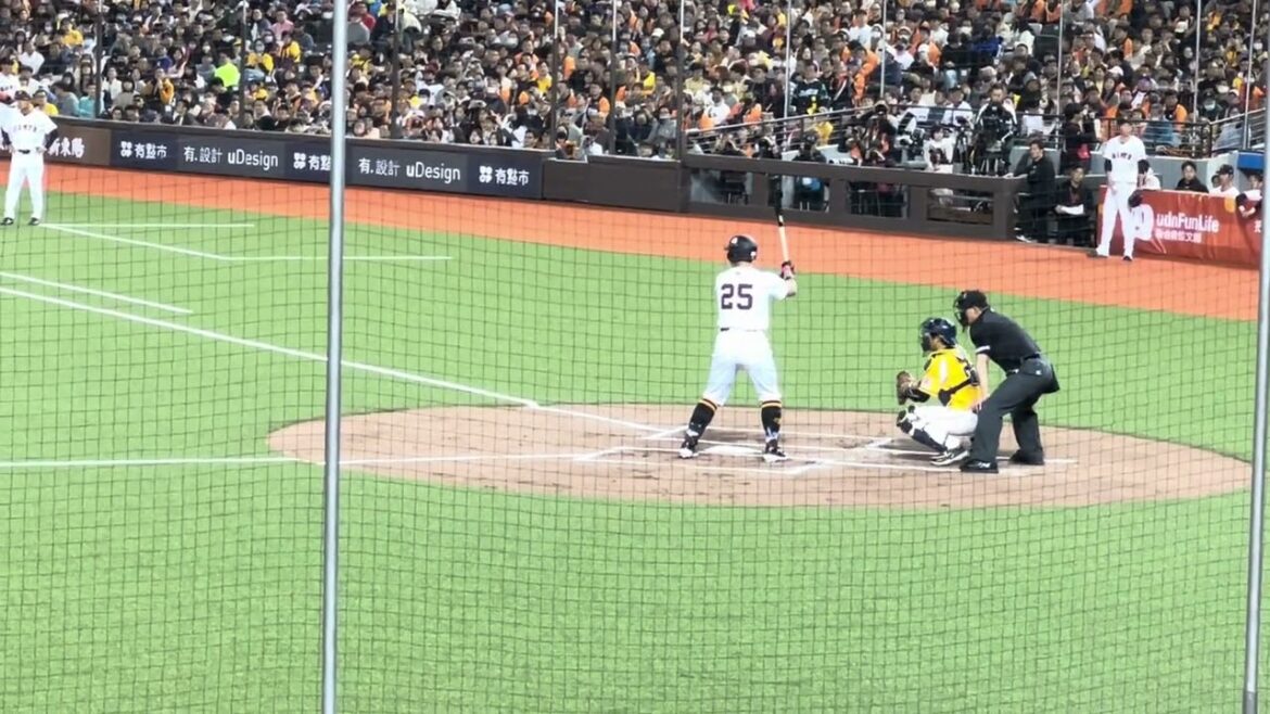 2024/3/2 讀賣巨人軍90週年紀念 台灣試合 vs 中信兄弟 岡本和真 第一打席 【台北ドーム】 【台北大巨蛋】