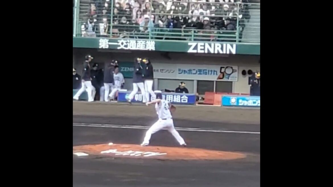 20240302　大関友久 半袖で投球練習　#shorts@北九州市民球場･外野ﾚﾌﾄ ｵｰﾌﾟﾝ戦