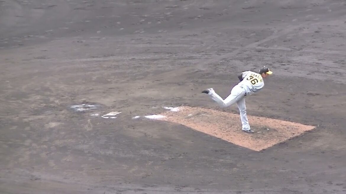 阪神 浜地真澄 2024年の投球フォーム【オープン戦 読売ジャイアンツ対 阪神タイガース2024年2月23日】