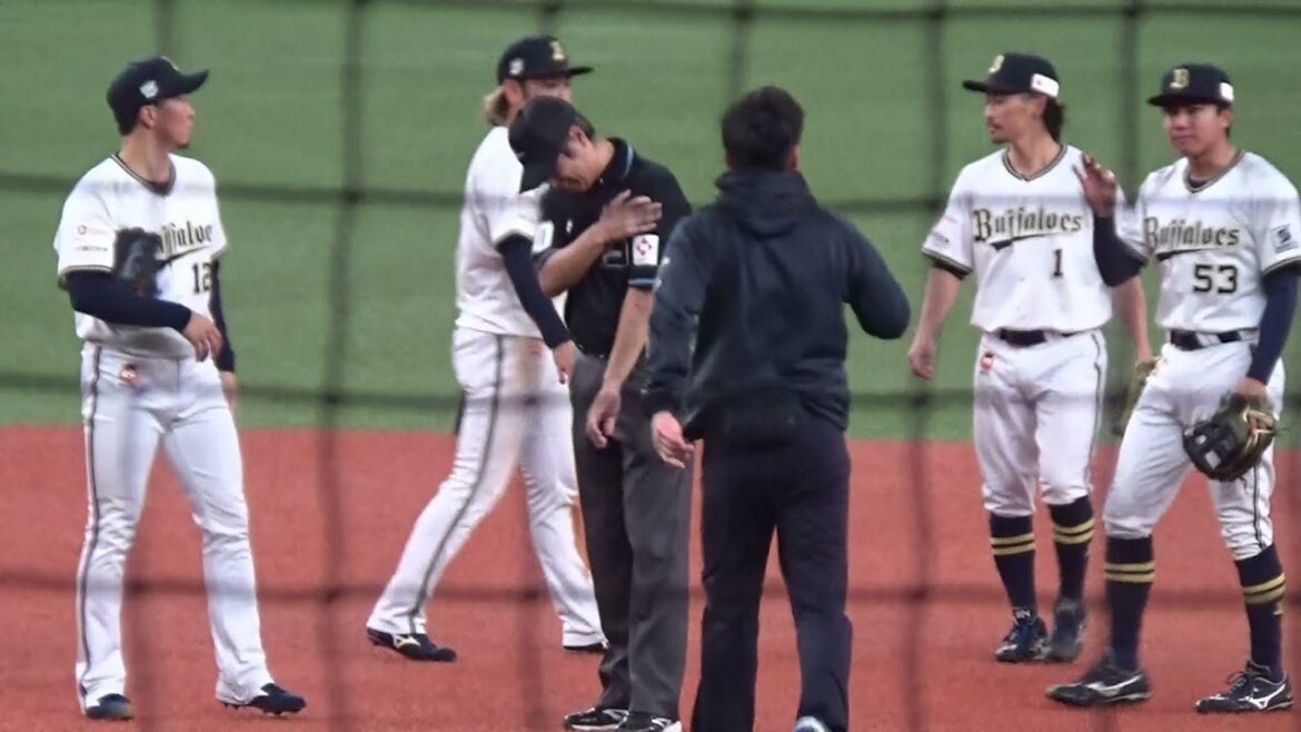 オリックス宜保翔選手と激突した後の白井一行審判員の様子【2024.3.3 オリックス vs 横浜DeNA オープン戦】 オリックス宜保翔選手と激突した後の白井一行審判員の様子【2024.3.3 オリックス vs 横浜DeNA オープン戦】