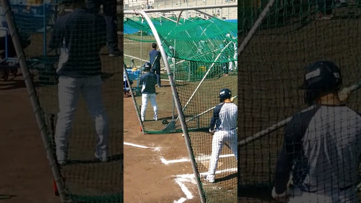 バントの練習をする松本直樹選手。 #ヤクルトスワローズ #プロ野球 #浦添春季キャンプ　