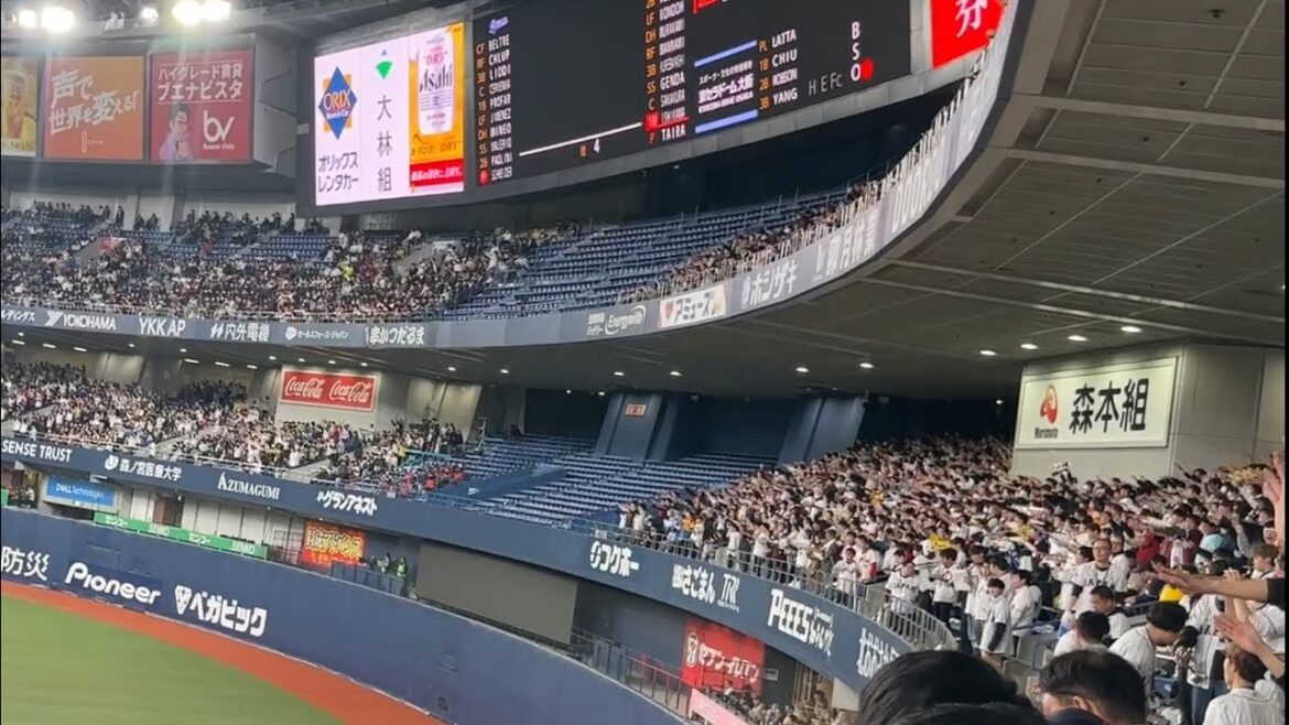 京セラに響き渡る侍ジャパン 石川昂弥(中日ドラゴンズ)暴れん坊将軍と応援歌 2024/03/06 京セラドーム