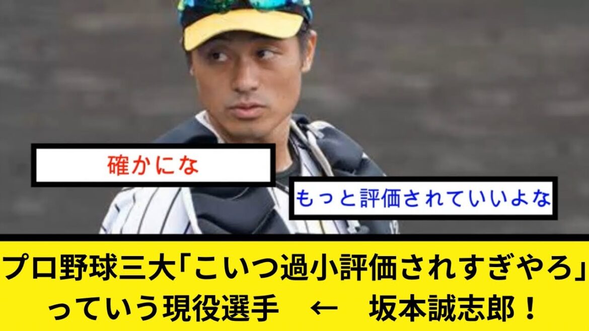 プロ野球三大｢こいつ過小評価されすぎやろ｣っていう現役選手　←　坂本誠志郎！