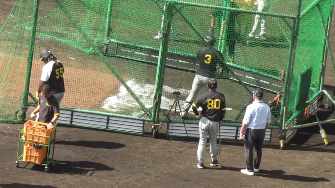 【阪神 練習】大山悠輔の打撃練習 岡田監督と話す高木豊さん（巨人阪神オープン戦2024年2月23日）  #阪神タイガース
