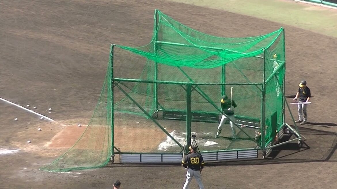 阪神 小幡竜平フリーバッティング〜阪神タイガース2024年2月23日