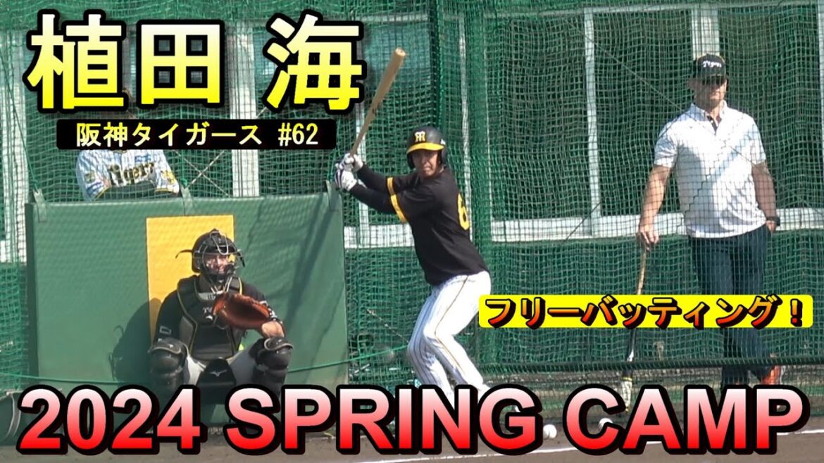 【2024春季キャンプ】植田 海・・・フリーバッティング‼【阪神タイガース】
