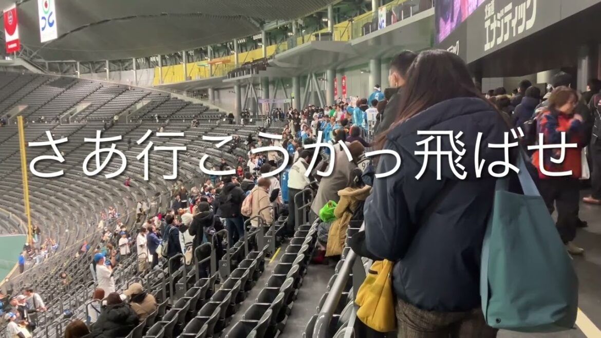 【本日発表2024新応援歌】2024/3/2 日本ハム　細川凌平　応援歌