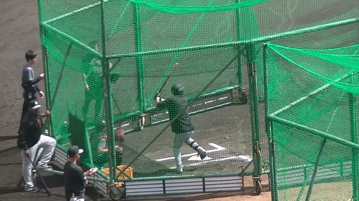 【巨人】吉川尚輝フリーバッティング ウィーラーが見守る【2024年2月22日 読売ジャイアンツ沖縄キャンプ】