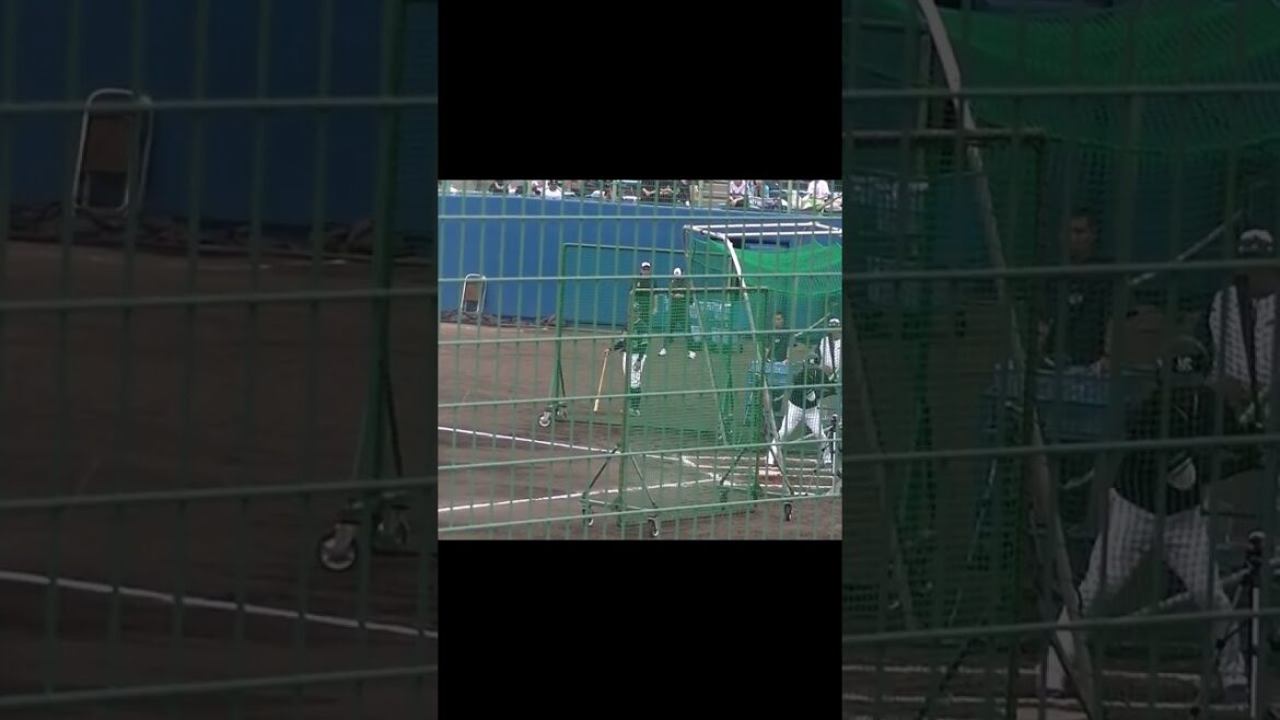 【ヤクルトキャンプ】石川雅規と長岡秀樹の対決【春季浦添キャンプ ヤクルトスワローズ2024年2月20日】　#石川雅規　#長岡秀樹