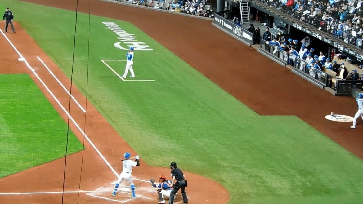 【日本ハム】万波中正選手 代打ホームラン 春季教育リーグ【2024年3月2日】