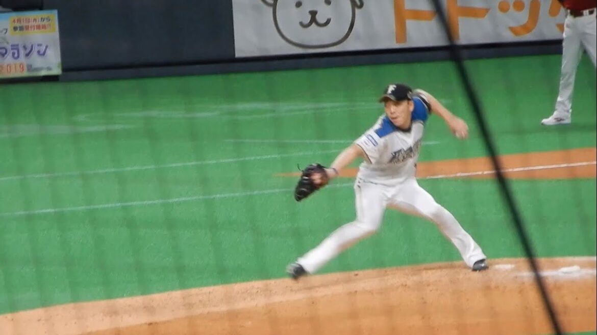 宮西尚生(2019) 投球フォーム(スロー付)