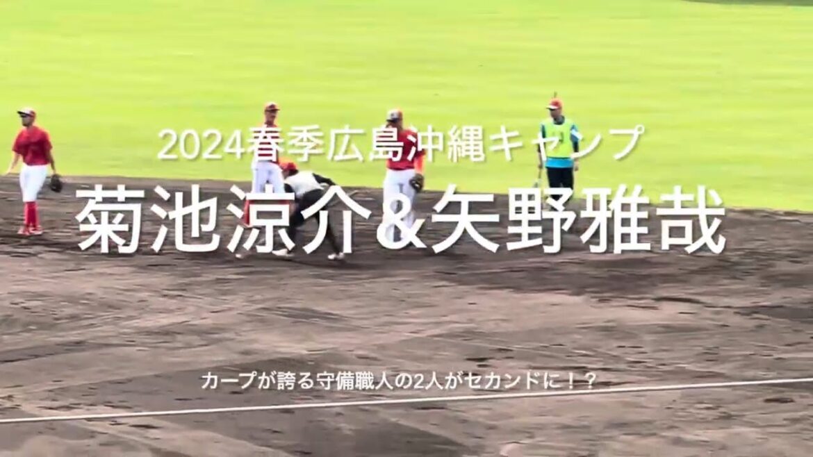 カープが誇る守備職人2人がセカンドに！矢野も上手いが菊池のグラブトスは別次元！【2024.2.20春季沖縄キャンプ】#広島カープ#コザしんきんスタジアム#2024春季沖縄キャンプ#菊池涼介#矢野雅哉