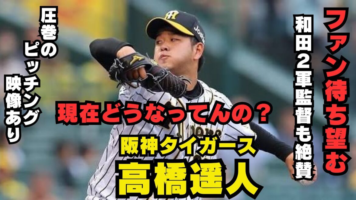 阪神タイガース　高橋遥人　現在どーなってんの？　映像あり
