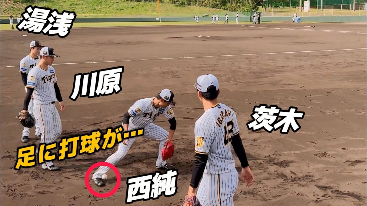 「さすが帝京長岡」「目で殺す目力」一軍の活躍が期待される若手投手4人(湯浅・西純・茨木・川原)で和やかにゴロ捕球の練習【阪神春季キャンプ】2024.2.26