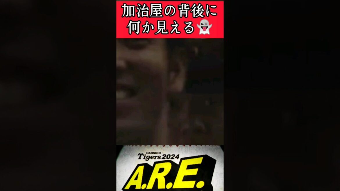 【阪神】加治屋のインタビュー中に背後がヤバい！ #阪神 #阪神タイガース #加治屋蓮 #才木浩人 #shorts