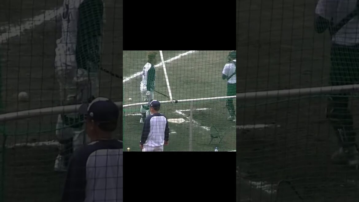 スワローズ濱田太貴のフリーバッティング〜東京ヤクルトスワローズ春季キャンプ2024年2月20日