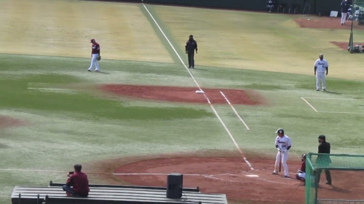 野球選手フォーム集677スワローズ松井 聖の打撃フォーム （2022/3/21 イースタン ヤクルトスワローズ対東北楽天ゴールデンイーグルス）