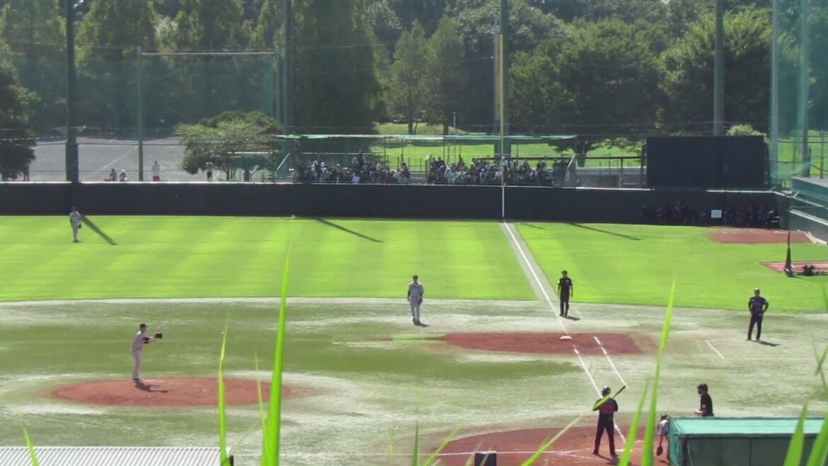 スワローズ フェリペ ボール球を見極め四球を選ぶ（２軍 ヤクルトスワローズ 対 読売ジャイアンツ 2023年9月10日）