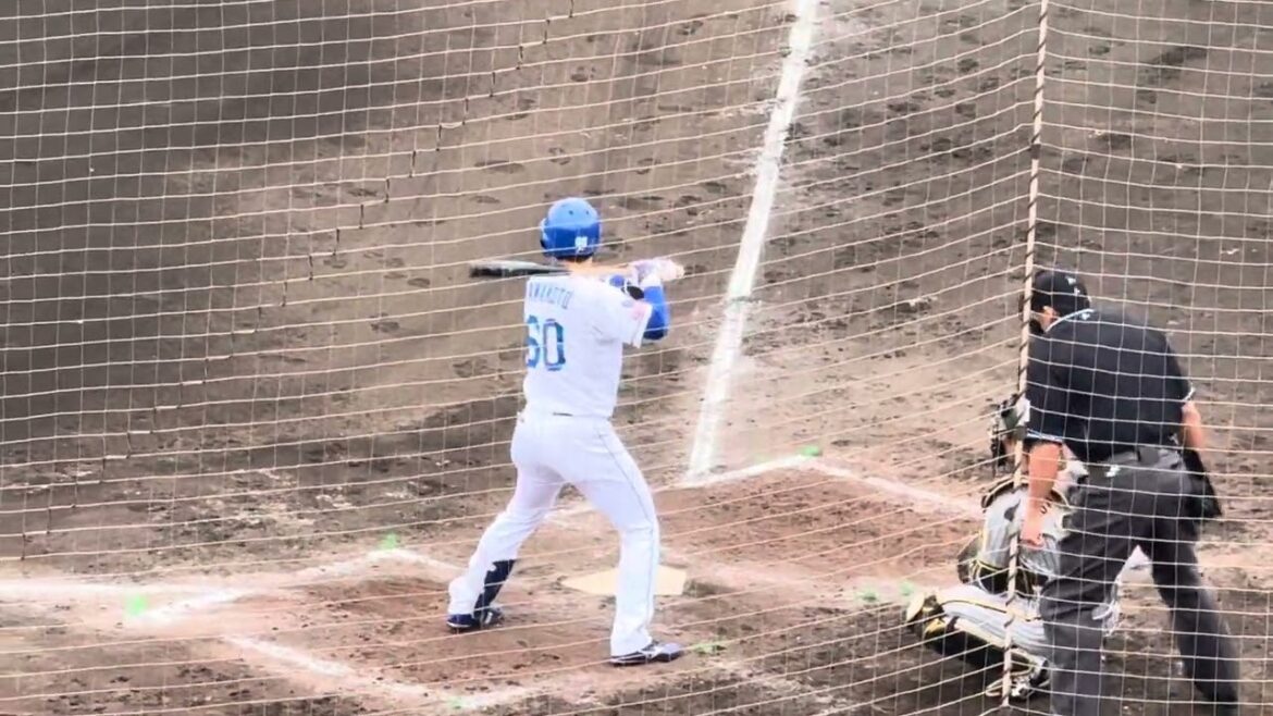 【元阪神】中日 山本泰寛 全球ダイジェスト⚾️ #阪神タイガース #中日ドラゴンズ #山本泰寛