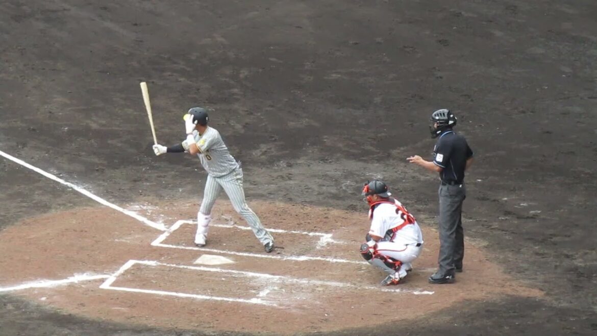 【タイガース】木浪聖也2024年 打撃フォーム（巨人阪神オープン戦2024年2月23日）