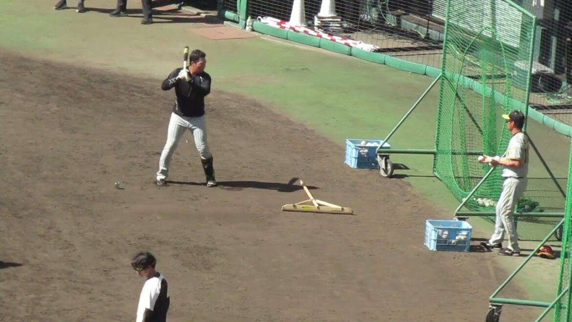 【阪神 練習】大山悠輔がトスバッティングで汗を流す（巨人阪神オープン戦2024年2月23日）  #阪神タイガース