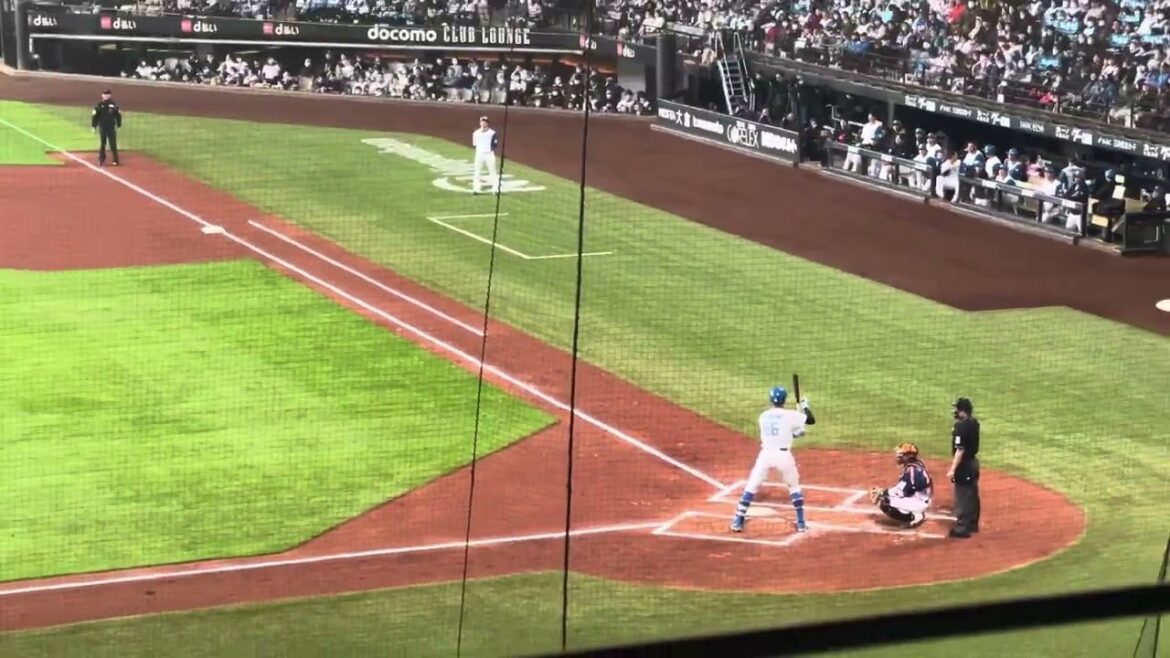 万波中正痛烈な打球で内野安打‼︎エスコンフィールド北海道春季教育リーグ