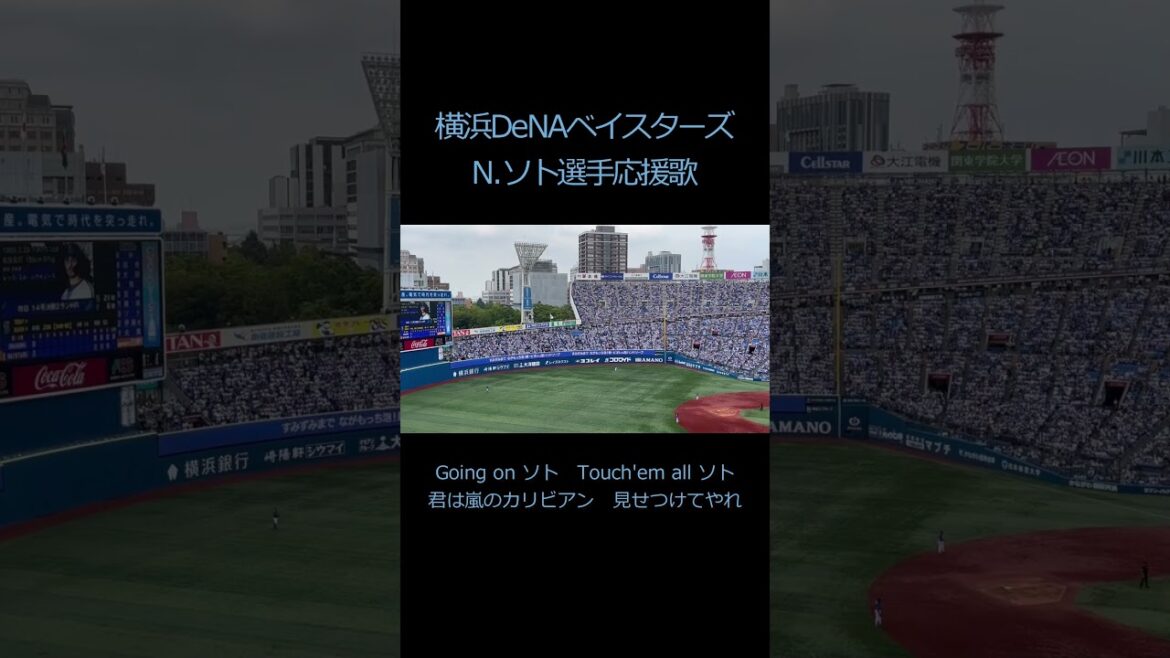 【ロッテへ移籍】N ソト選手応援歌（#横浜denaベイスターズ ）＃Shorts