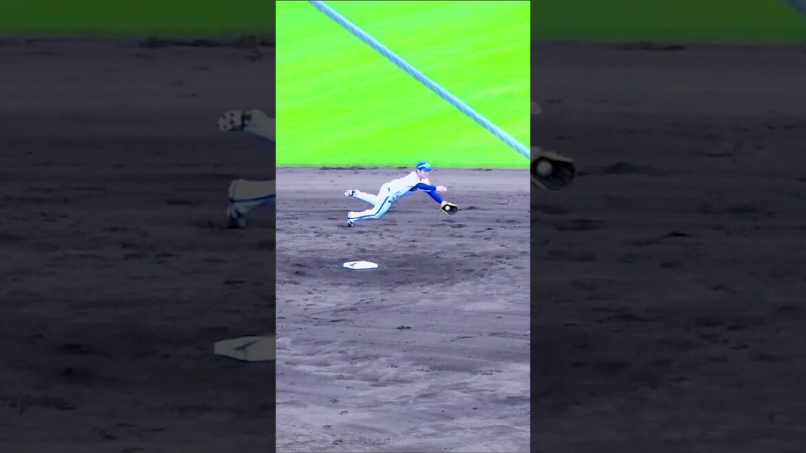 西巻賢二のダイビングキャッチ！2024 宜野湾キャンプ #横浜DeNAベイスターズ ファインプレー