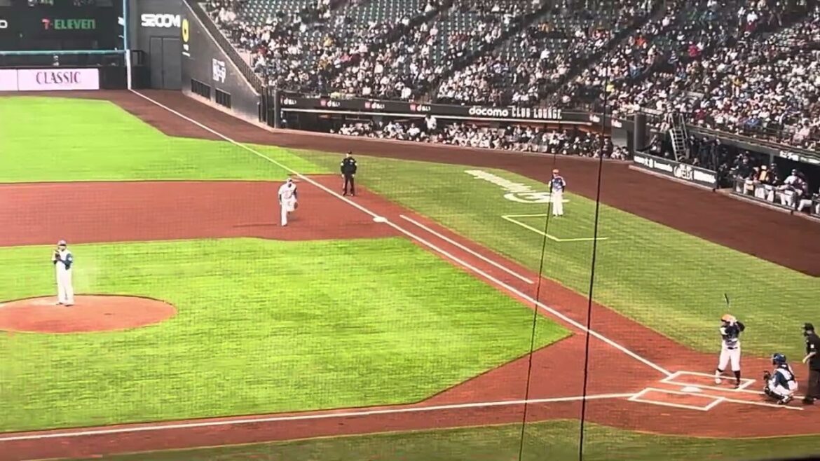 見逃し三振‼︎伊藤大海が春季教育リーグで先発登板　圧巻の投球を見せつける！！エスコンフィールド北海道2024年3月1日