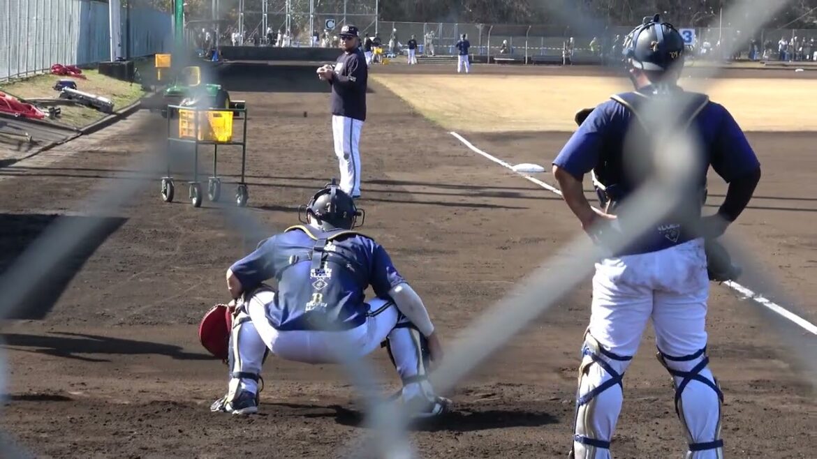 【壁性能】若月健矢と森友哉のキャッチング練習