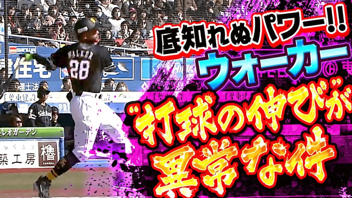 Pacific-League: 【底知れぬパワー】ウォーカー『逆方向への打球の伸びが異常…フェンス直撃シングルヒット』 【底知れぬパワー】ウォーカー『逆方向への打球の伸びが異常…フェンス直撃シングルヒット』