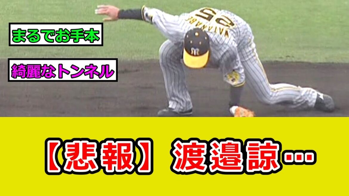 阪神 渡邉諒、綺麗なトンネルやらかすｗ