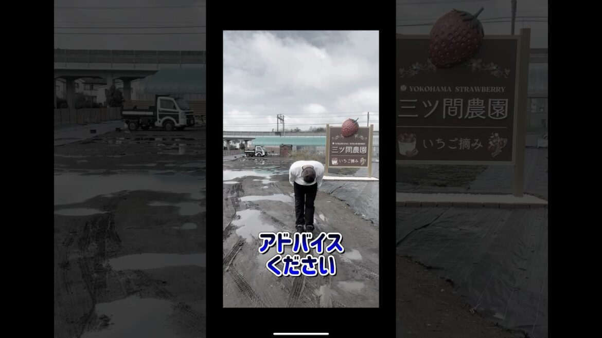 困ってます。アドバイスください！