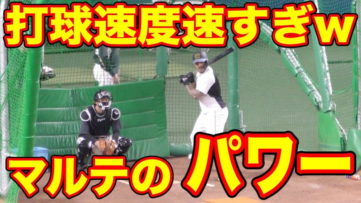 マルテの打撃練習　タイガース　エンゼルス　阪神タイガース【2021年 プロ野球】