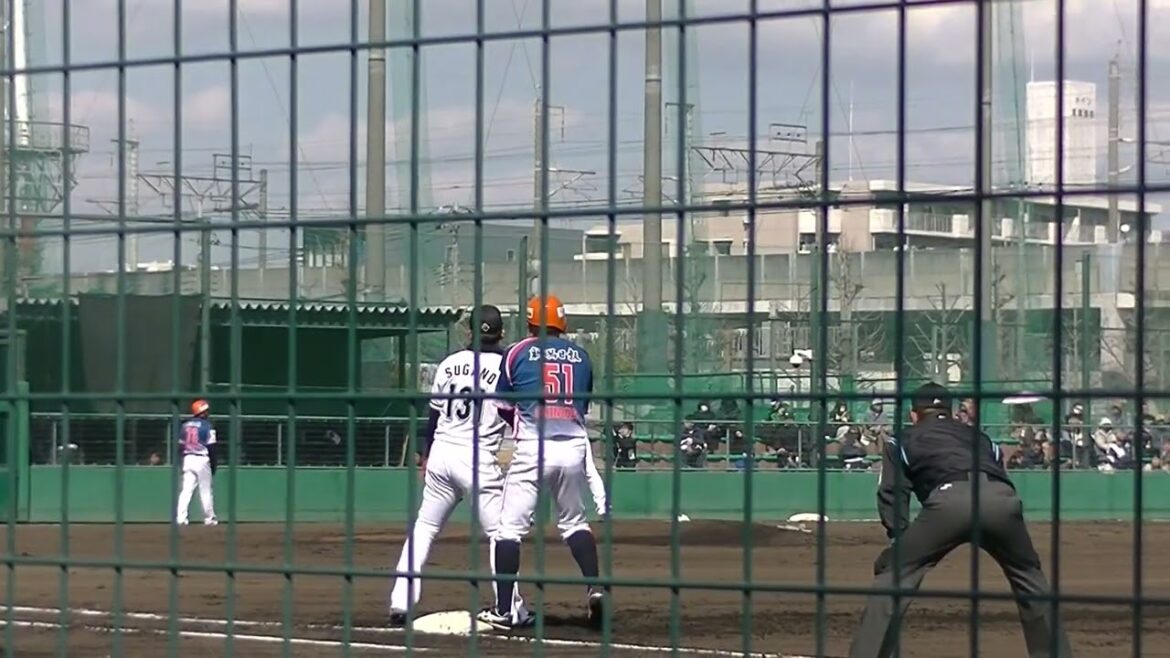 元阪神 オイシックス髙山俊を抑える坂本光士郎【千葉ロッテマリーンズ対オイシックス新潟アルビレックスBC2024年3月7日】