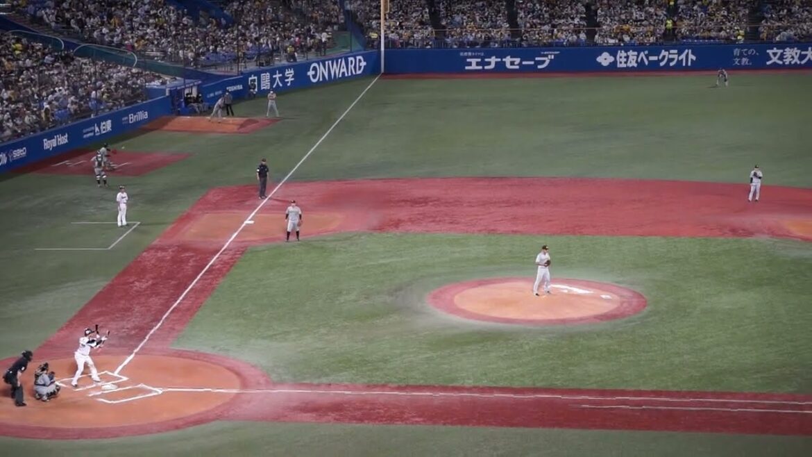 【赤羽由紘 NPB プロ初犠牲バント】2022/9/28(水) 赤羽由紘 ピッチャー犠牲バント 打席(6回裏) vs 伊藤将司(阪神タイガース)