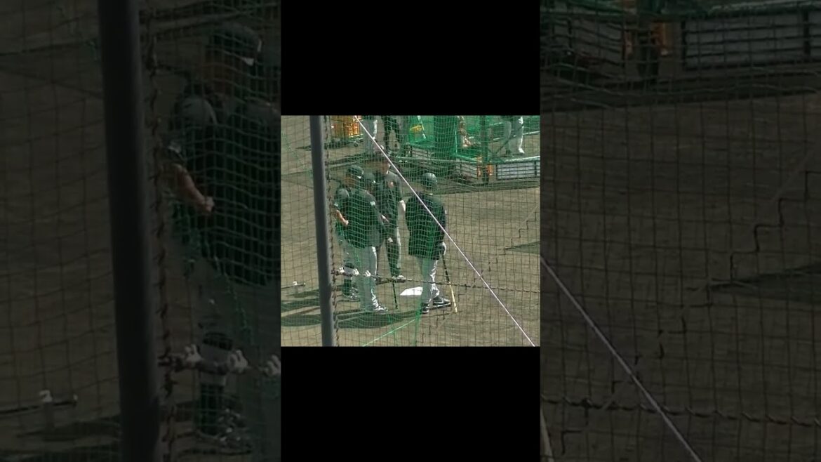 【ジャイアンツキャンプ】新外国人オドーア コーチの矢野謙次やウィーラーと話し合う（巨人沖縄キャンプ2024年2月21日）